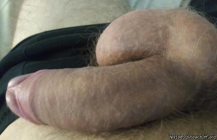 Balls swollen with cum.