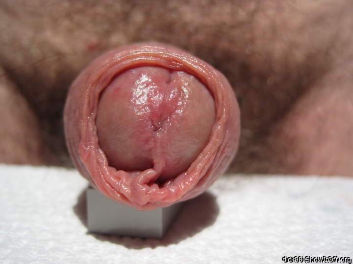 Thank you for this beautiful view of your penis.