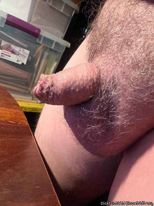Photo of a penis from DickFun1981