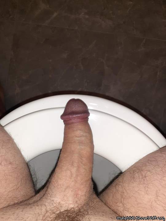 My wife would love to suck on your big cock as you sat back 