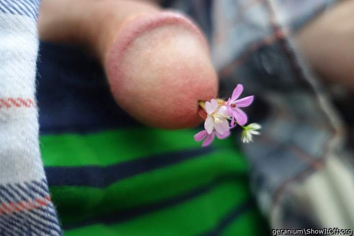 flowers for you