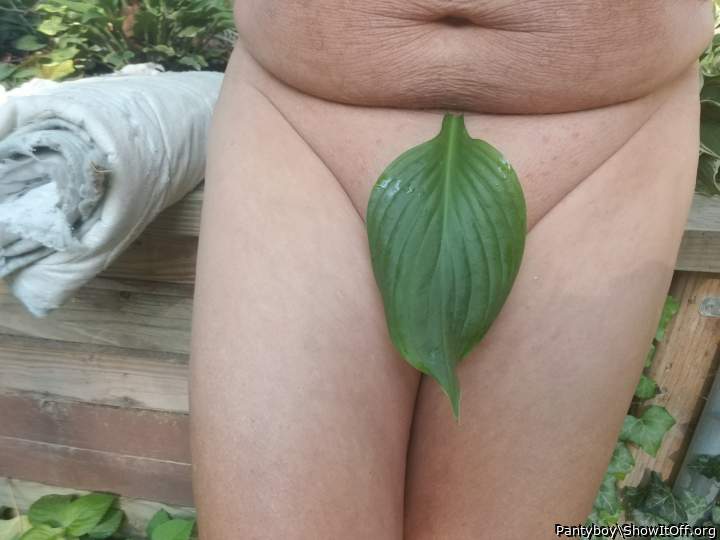 Photo of a hot-rod from Pantyboy