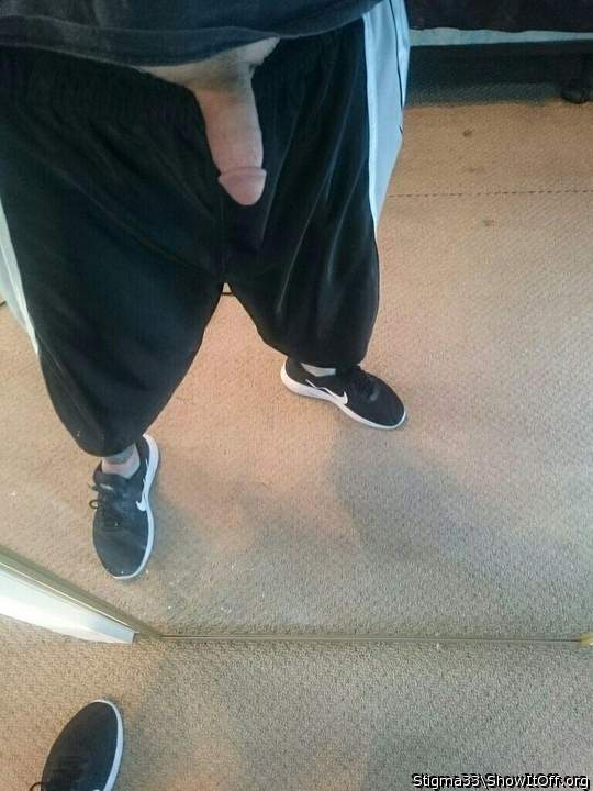 Photo of a middle leg from Stigma33