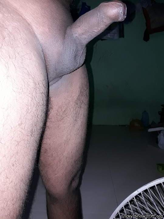 Photo of a lizard from RJ