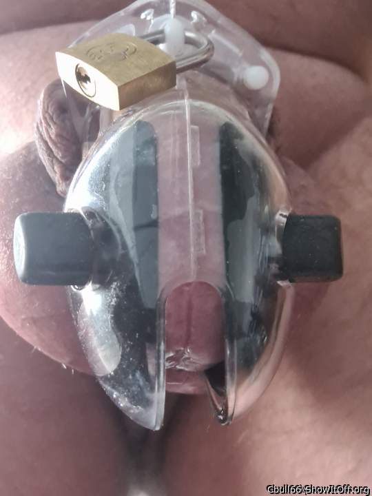Photo of a wiener from Cbull66