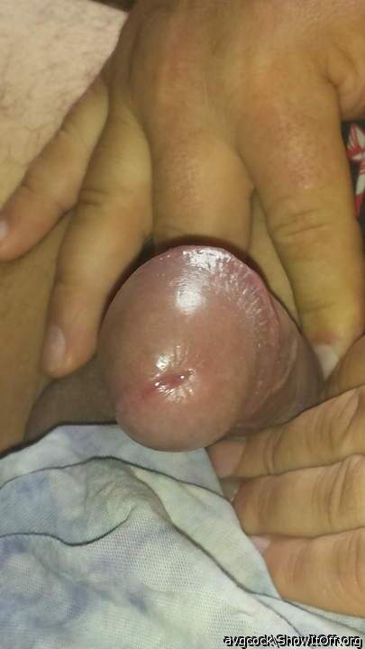 Photo of a hot dog from avgcock