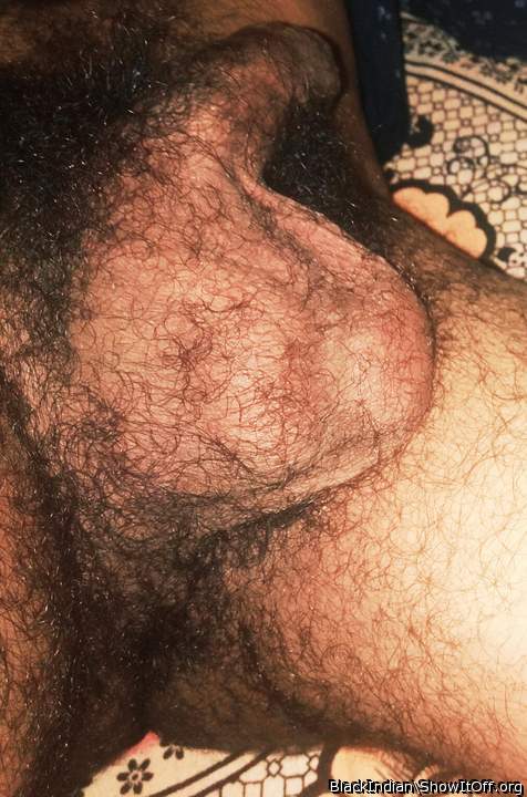 Lovingly hairy big balls~~ amazing view