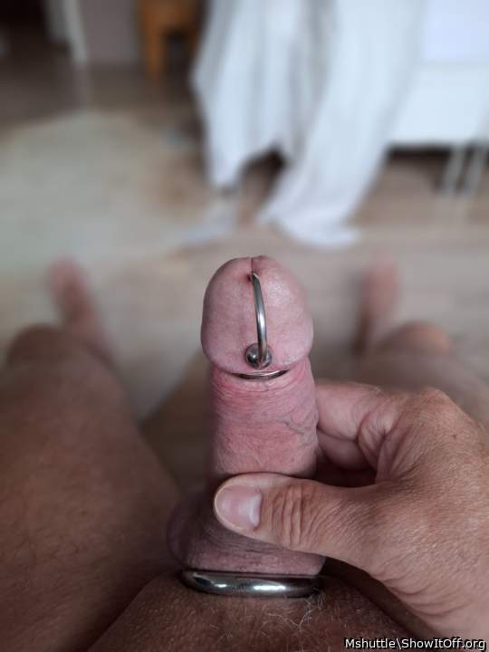 Photo of a sausage from Mshuttle