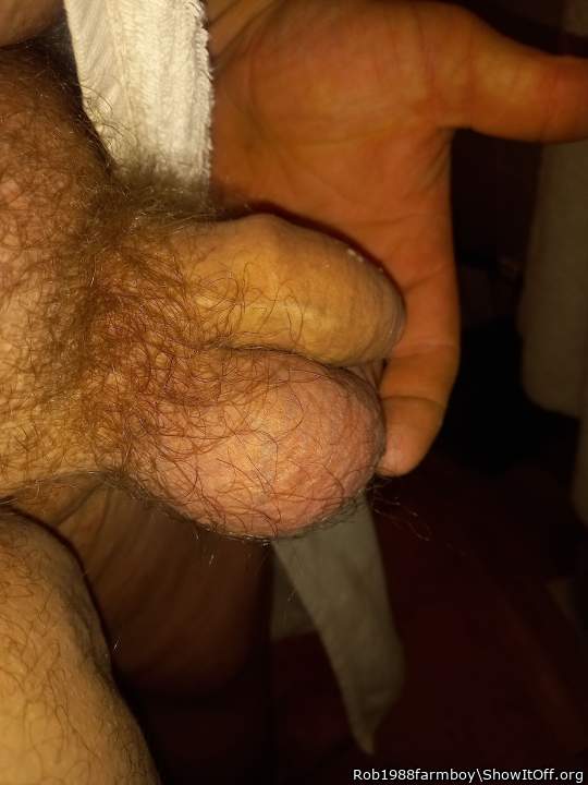 Photo of a schlong from Rob1988farmboy