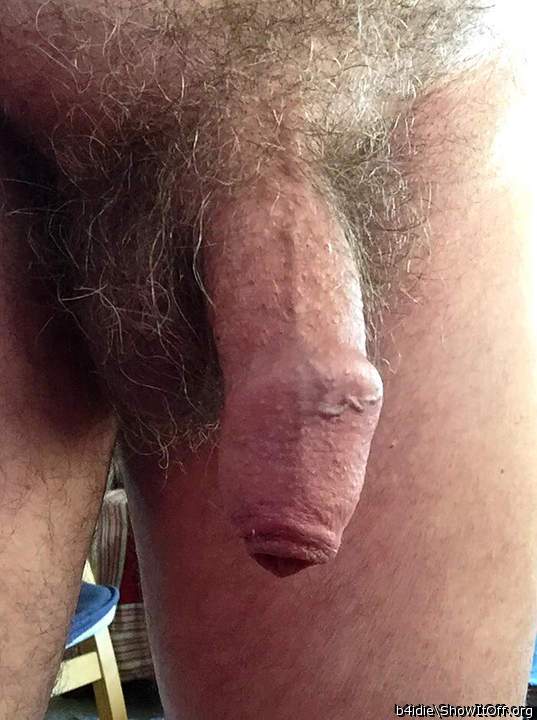 Such a lovely furry hooded softie, wish I could play with hi