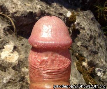 Photo of a pecker from jokodepojo2