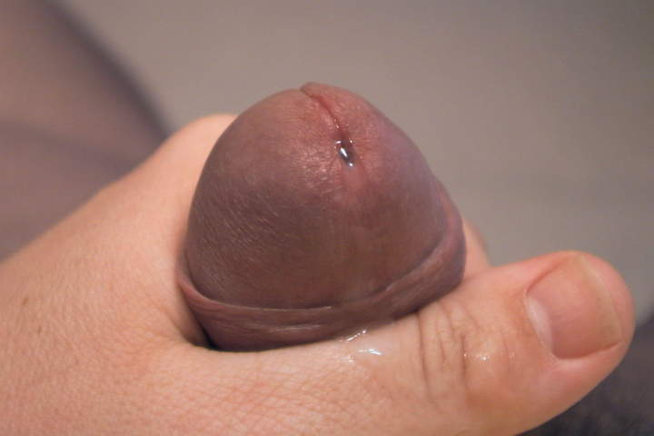 Photo of a snake from nylonlover