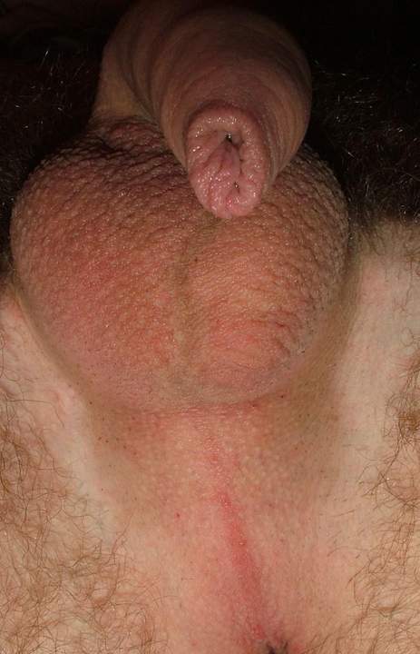 lovely cock, nicely shaven    