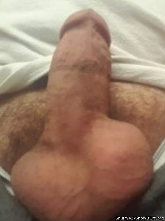 Photo of a bat from Snuffy43