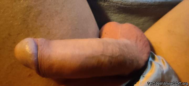 Photo of a horn from fart1966
