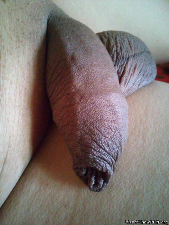 Photo of a horn from bizen