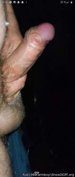 Photo of a python from Rob1988farmboy