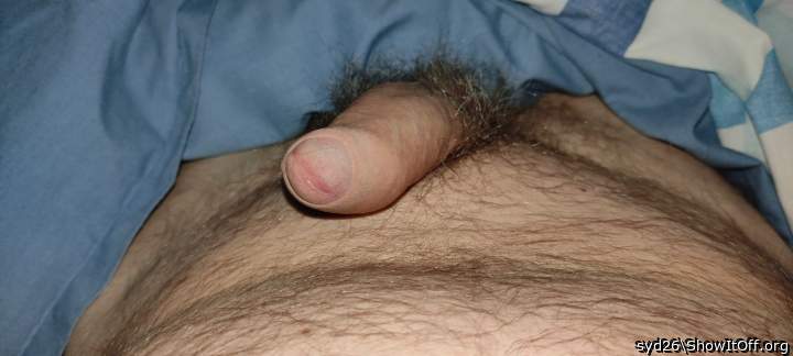 Photo of a snake from syd26