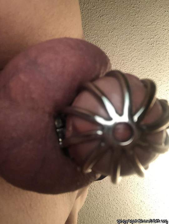 Photo of a stiffie from Gingy4got