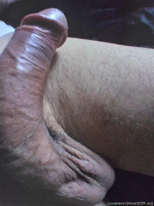 Photo of a middle leg from cuvanero