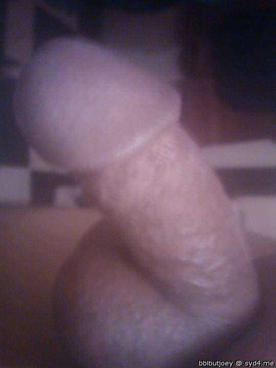 Photo of a snake from bblbutjoey