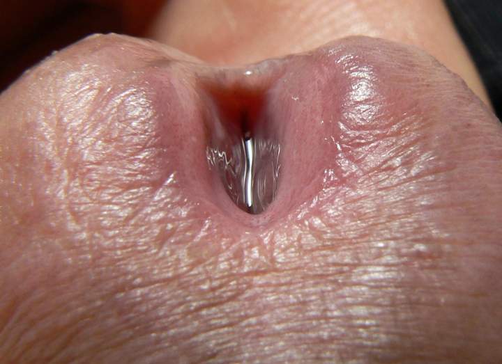 wow, herrliche groaufnahme!!