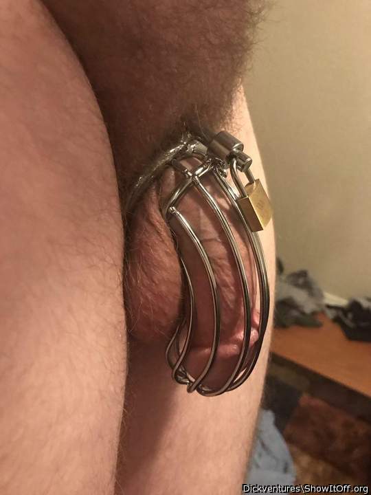 Trying a Cage