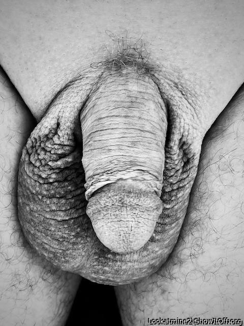 Study in Textures and Shading