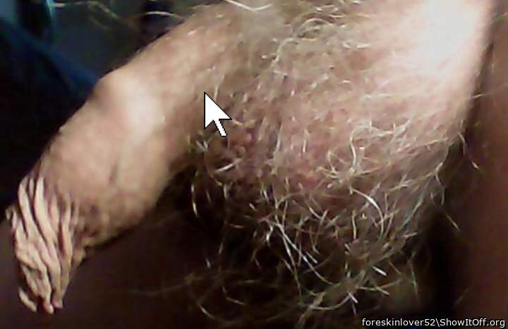   beautiful uncut cock and hairy sack
