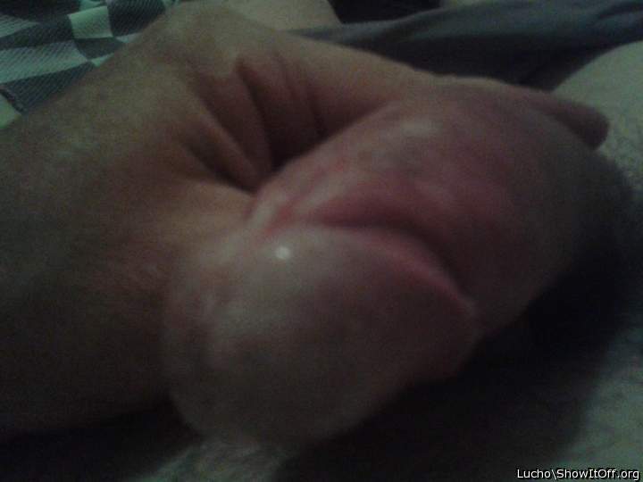 Photo of a snake from Lucho