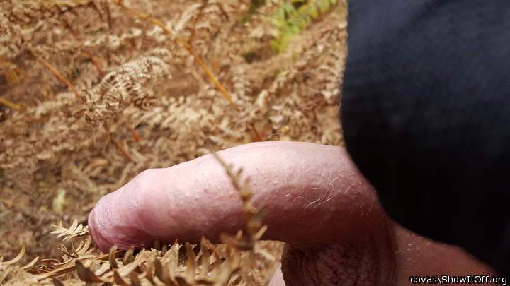 Photo of a member from covas