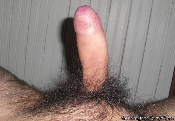 Photo of a tool from chilenito_thno