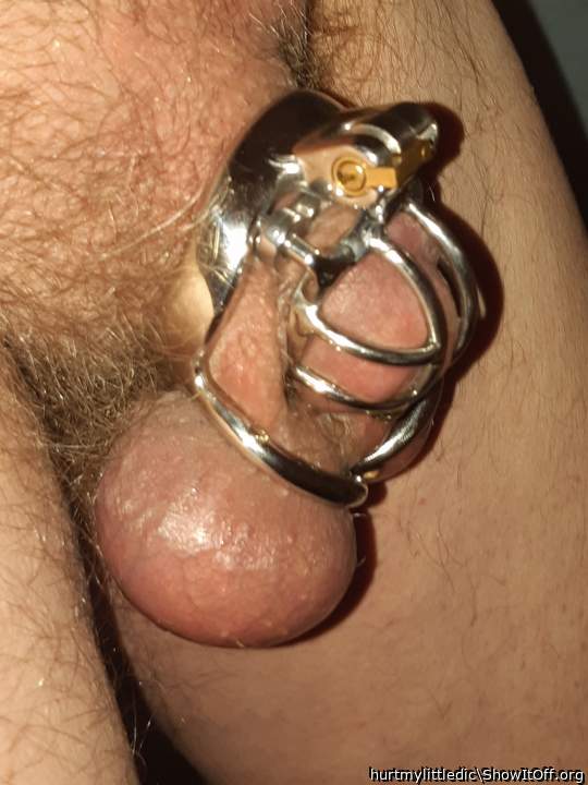 How much am I gonna love my new cage??