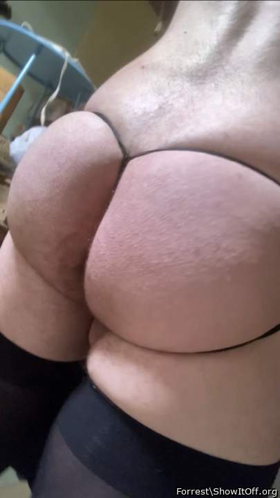 Photo of a python from Forrest