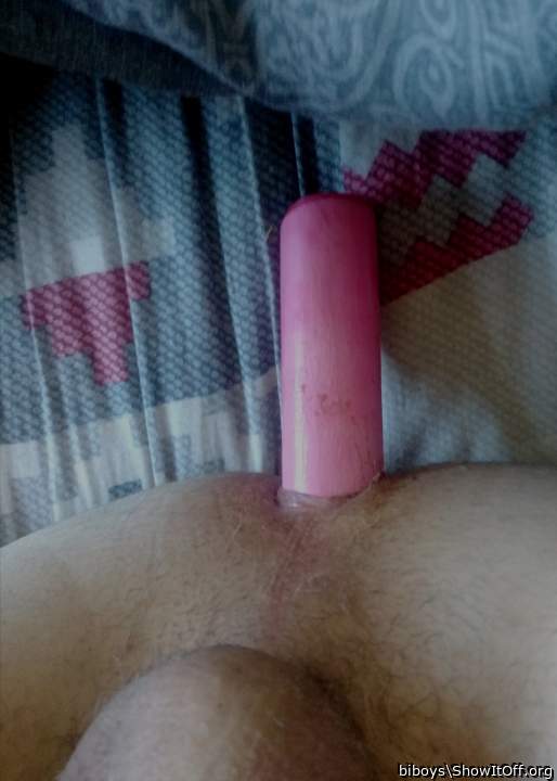 Photo of a weasel from biboys