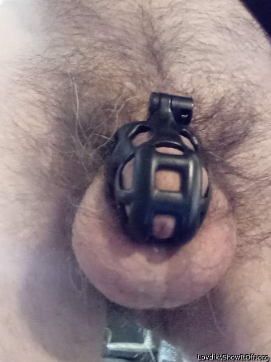 Tiny cock