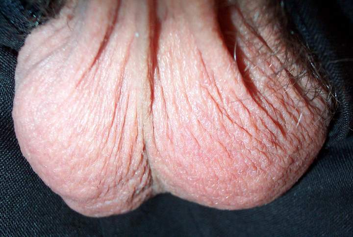 Testicles Photo from lilsoftee