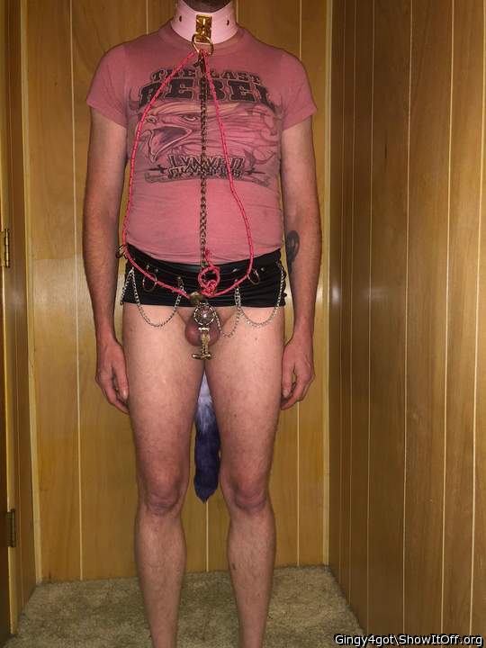 Photo of a third leg from Gingy4got