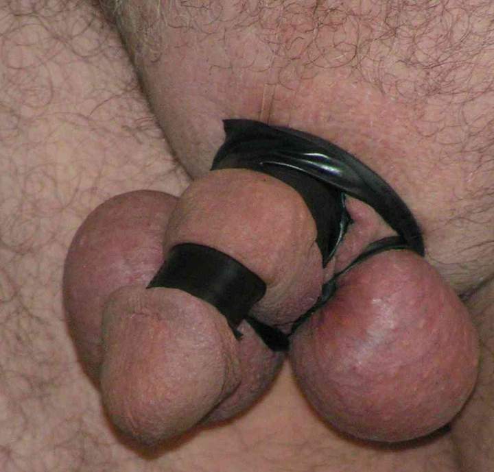 Wrapped