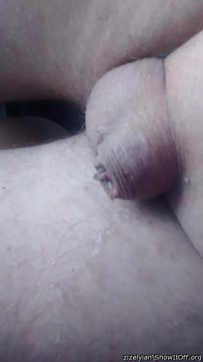Photo of a stiffie from zizelyian