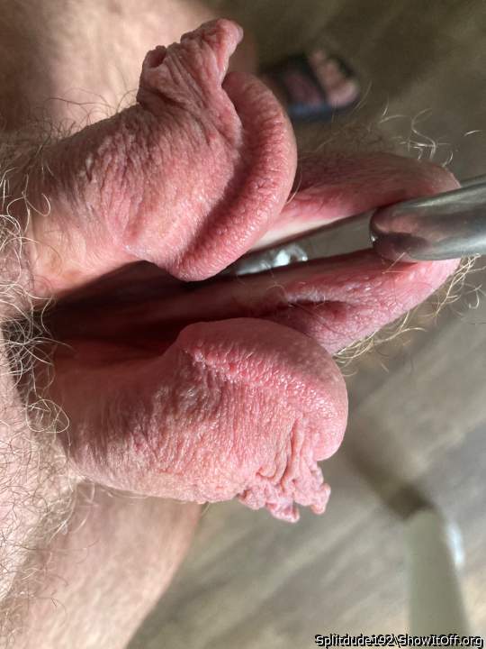 Photo of a private part from Splitdude192