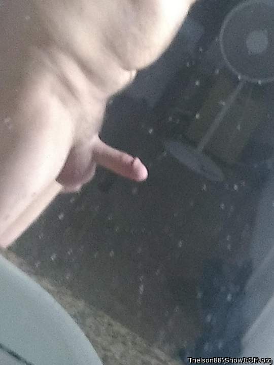 Photo of a lizard from Tnelson88