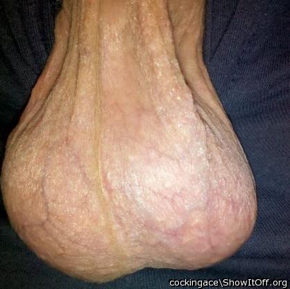  i wanna taste your nuts