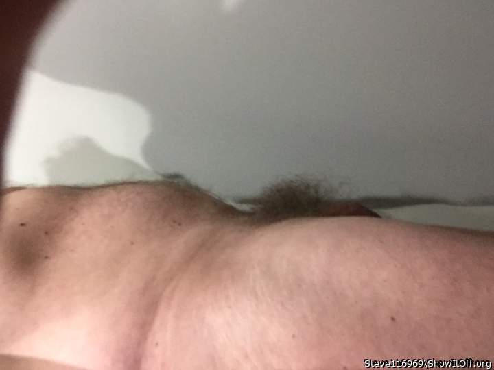 Awesome bush, man!