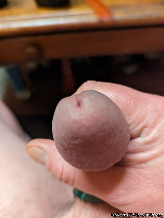 Nice cock head.  Looks a lot like mine.  
