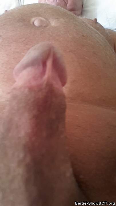 Photo of a dong from Bertie