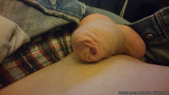 Photo of a pocket rocket from monsterschwanz
