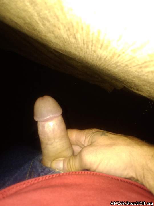Photo of a private part from Alf4269