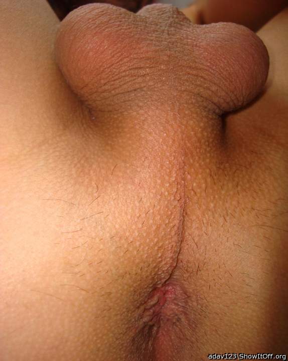 Ass adav123