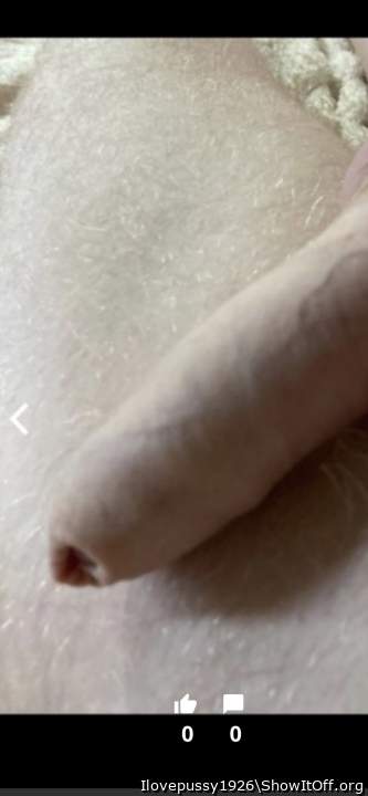 Photo of a cavalier from Ilovepussy1926